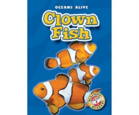 Clown_Fish